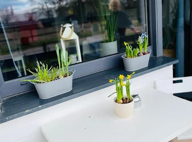 Boardinghouse Отель 3*